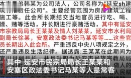 匿名官员爆料视频大全集,视频大全集深度解析