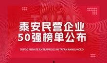 泰安企业爆料事件视频,揭露行业黑幕背后的真相