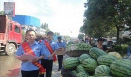 郫县网红吃瓜事件,一场网络狂欢背后的真相与反思