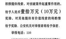 海都新闻爆料,揭秘重大事件背后真相