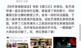爆料美国网红事件视频大全,揭秘网络红人的真实生活与争议瞬间