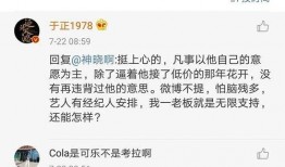 娱乐圈吃瓜列表,揭秘明星背后的故事与真相