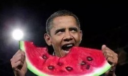 吃瓜知名 网红有哪些,盘点吃瓜知名网红的崛起之路