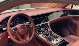 中国豪车爆料视频最新,最新爆料视频深度解析