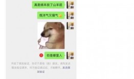 吃瓜沙雕套路视频下载免费,免费下载视频背后的秘密