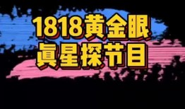 黄金眼新闻爆料,揭秘惊天大案背后惊人内幕