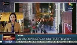 武汉黄鹤楼爆料事件视频,揭秘武汉神秘事件真相