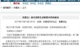 新浪新闻爆料台,揭秘背后真相