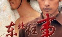 东北往事之黑道风云20年全集在线观看,揭秘黑道风云，重温传奇岁月