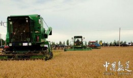 黑龙江农场爆料视频播放,揭秘农场真实生活现状