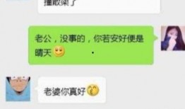 吃瓜沙雕套路视频下载免费,免费下载视频背后的秘密
