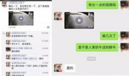 匿名官员爆料视频大全集,视频大全集深度解析