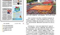 南宁新闻爆料怎么报,聚焦城市热点，解码民生关切