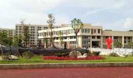 思南中学爆料事件视频,视频揭露惊人真相