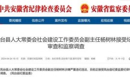 安徽每日新闻爆料网站大全