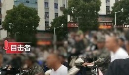 昌黎一中爆料事件视频最新,真相与争议交织的校园风云