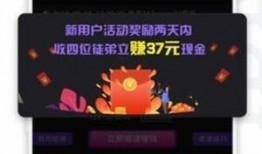靓仔周年庆爆料视频下载,精彩瞬间回顾与惊喜预告