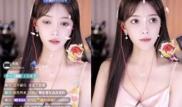 yy芮甜甜最新爆料,揭秘娱乐圈幕后真相