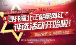 全国媒体新闻爆料网红,揭秘全国媒体聚焦下的网络红人现象