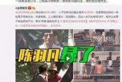 张强爆料婚内出轨视频播放,真相与舆论风暴
