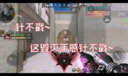 王子佼毁灭式爆料原视频,毁灭式爆料视频背后的惊人真相