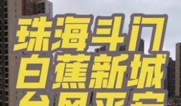 番禺都市爆料新闻事件,揭秘某热点事件背后的真相