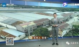 浙江卫视今日聚焦爆料,揭秘背后惊人真相