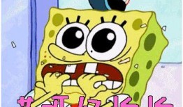 太原网红爆料视频,揭秘城市生活新热点