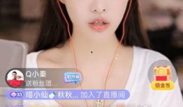 yy芮甜甜最新爆料,揭秘娱乐圈幕后真相