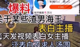 打工人汤圆爆料视频,揭秘打工生活背后的辛酸与无奈