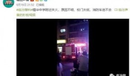 爆料最新视频,独家爆料背后的惊人真相