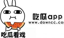 网红吃瓜爆料黑料免费,吃瓜爆料黑料背后的真相大揭秘