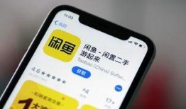 闲鱼之王最新爆料,揭秘电商巨头背后的惊人秘密！