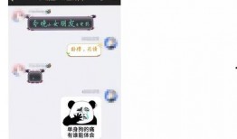 鲁班典藏最新爆料视频,揭秘神秘视频背后的科技革命