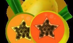 娱乐吃瓜模板图片,明星幕后故事大揭秘！