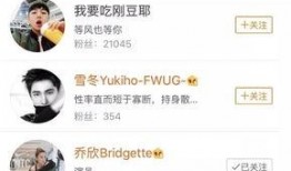 有娱乐圈爆料吗小说,揭秘幕后真相