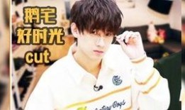 刘大锤爆料姚琛直播视频,视频内容引发热议