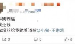 导师爆料小鬼视频播放,小鬼视频播放背后的惊人真相