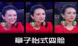 歌剧演员三视图爆料视频,惊艳舞台背后的真实风采