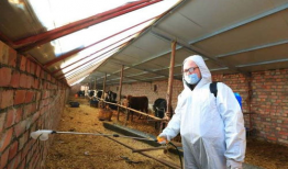 新疆伊吾最新爆料信息,神秘事件揭开面纱，探寻古城之谜