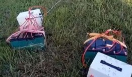 蚯蚓在线观看,在线观看揭示地下生命奇迹