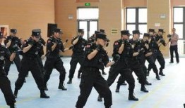 公安爆料行凶视频最新,真相令人震惊