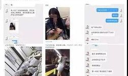 营销号爆料陈坤视频播放,播放量飙升，背后故事引热议