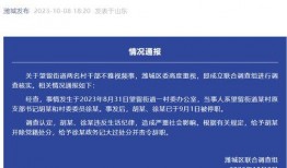 泰安企业爆料事件视频,揭露行业黑幕背后的真相