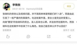 张继科事件爆料者入狱视频,真相与争议交织