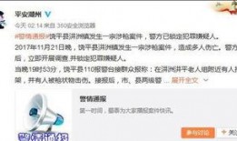 广东饶平爆料事件视频,真相与争议交织的舆论漩涡
