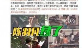 王温柔被大哥爆料视频,揭秘背后惊人真相