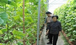 最新吃瓜免费网站,最新免费吃瓜网站，海量资讯一网打尽！