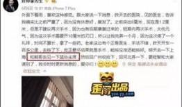 老李爆料熊哥视频,老李独家爆料，揭秘背后惊人真相！