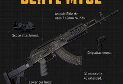 和平精英最新枪爆料图,神秘性能枪械引玩家热议